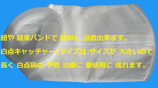 外部式対応　海水魚　サンゴ水槽　白点虫除去フィルター　白点キャッチャー　Lタイプ　熱帯魚　金魚　メダカ　12_画像4