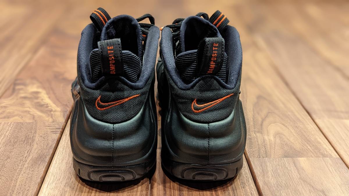 NIKE AIR FORM POSITE PRO 30cm エアフォーム ポジット プロ 624041-304
