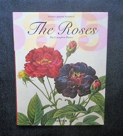  gorgeous rudu-te rose plant . map . foreign book book of paintings in print #The Roses The Complete Plates Pierre Joseph Redoute#Taschen 25 anniversary flower botanika lure to