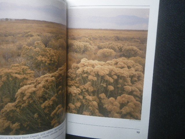  America south west part sand .. raw. flower plant low tree cactus foreign book Shrubs and Trees of the Southwest Deserts plant .Brian Wignallmo is -ve sand .