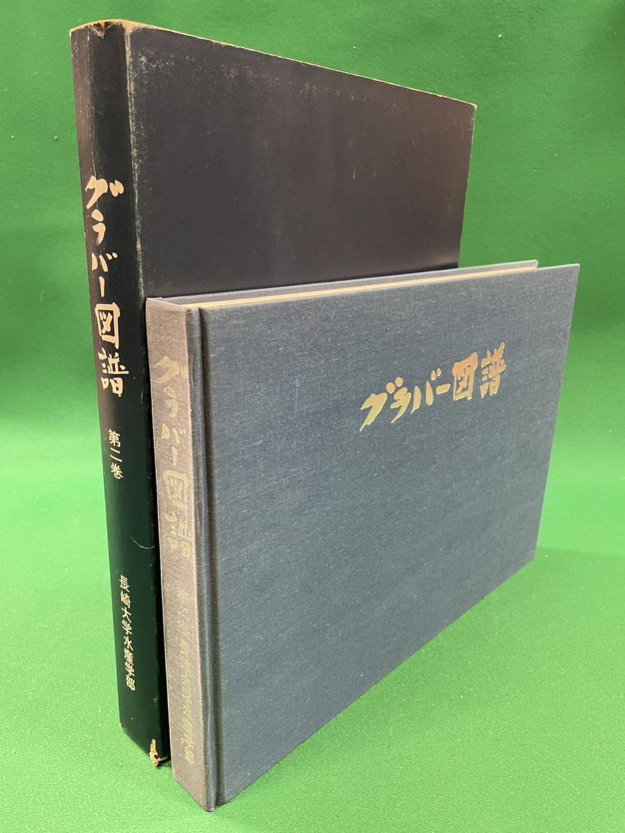 山下専門店 50kg自動ドウミキサー ひき肉 肉あん 撹拌機 小麦粉 山下専門店 50kg自動ドウミキサー ひき肉 肉あん 撹拌機 小麦粉