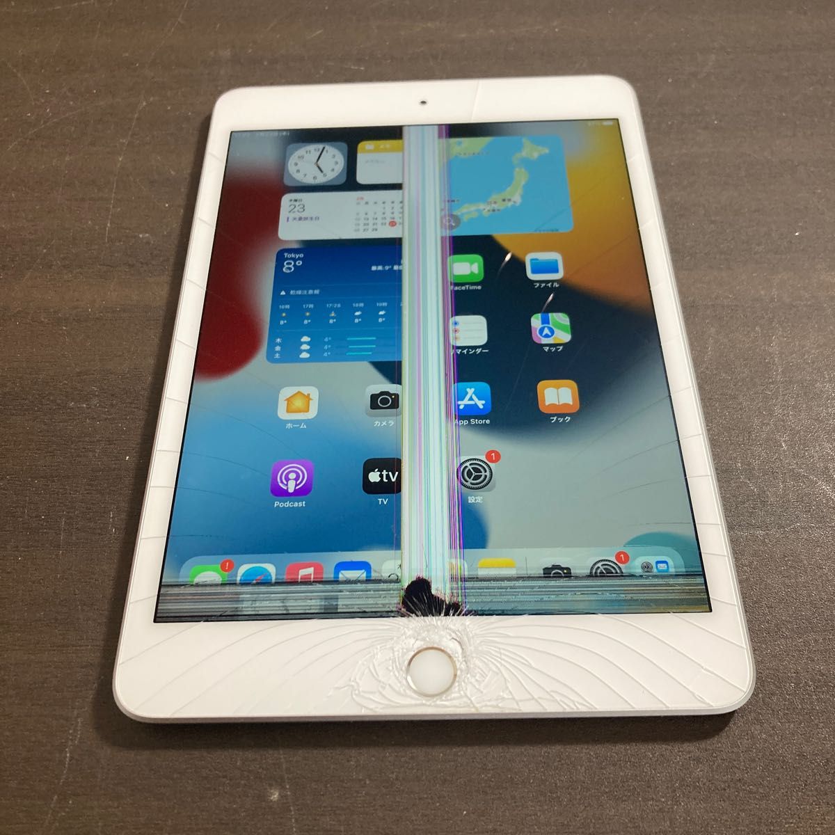 ジャンク品】iPad mini 第5世代 Wi-Fiモデル 64GB シルバー | vuzelia.com