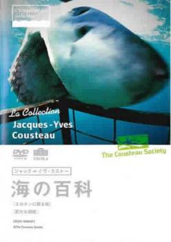 ジャック=イヴ・クストー 海の百科 7 ユカタンに眠る鮫 巨大な白鮫 レンタル落ち 中古 DVD_画像1