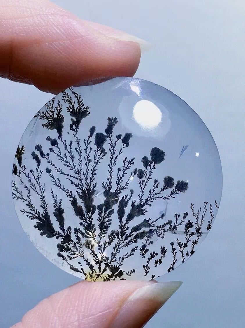 高級】天然 ツリーインクォーツ ルース 14g | www.bauen.com.ar