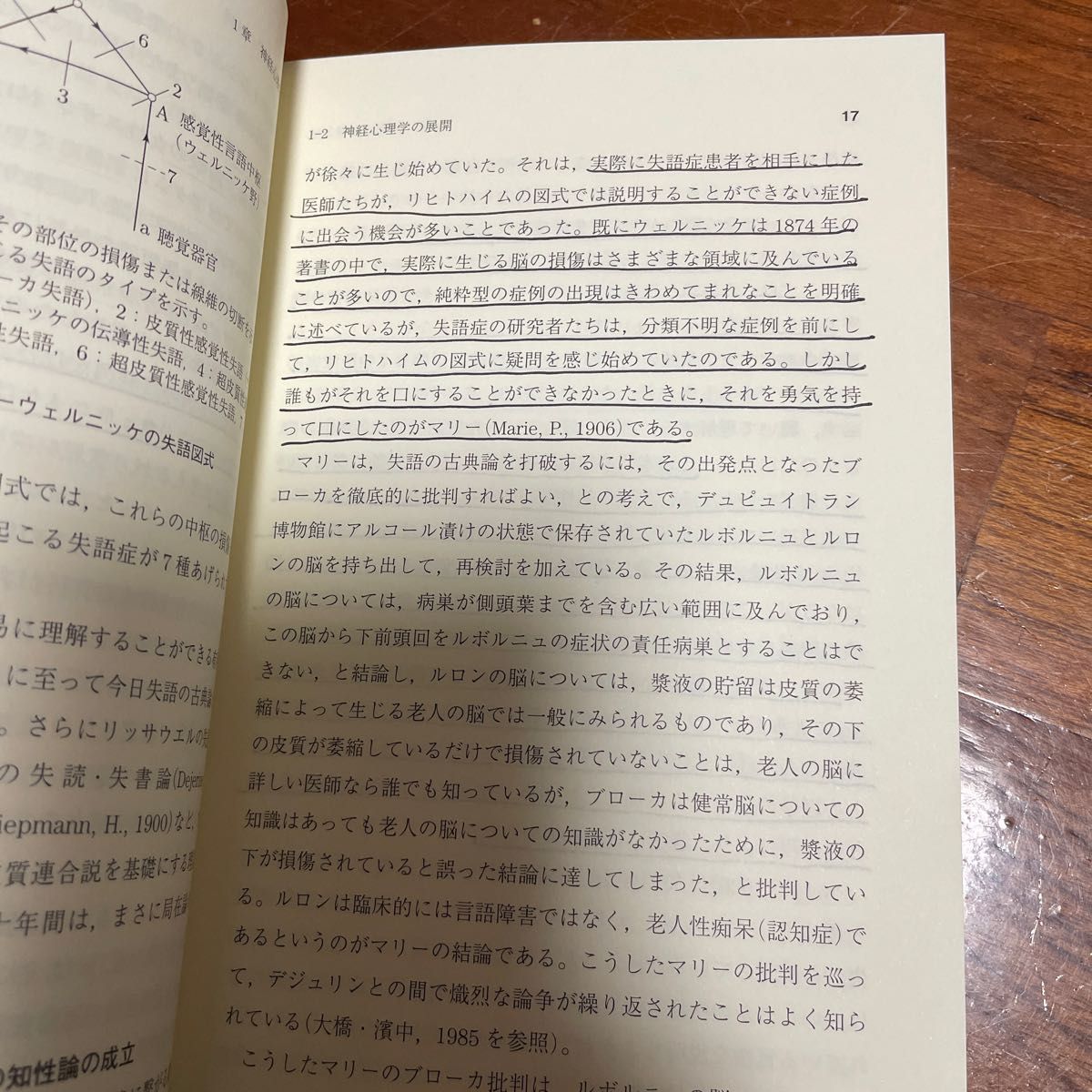 神経心理学　高次脳機能研究の現状と問題点 （心理学の世界　専門編１７） 河内十郎／著