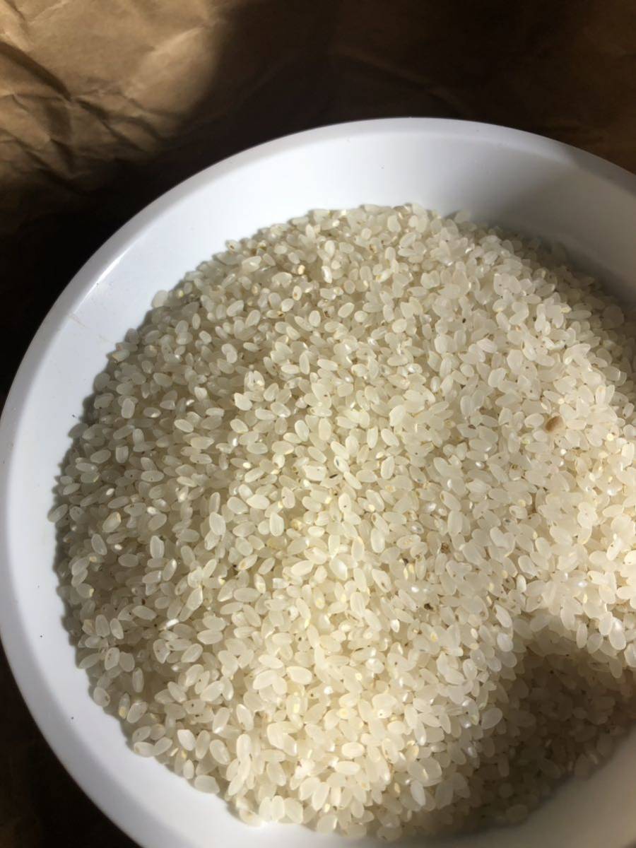 最も優遇 北海道産 無農薬 くず米 玄米 900g