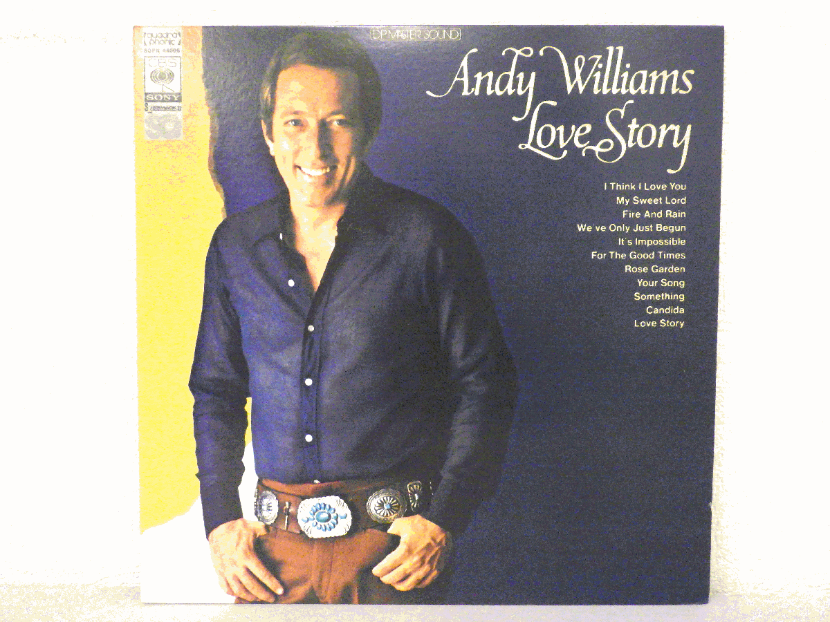 LP レコード Andy Williams アンディ ウィリアムス Love Story ある愛の詩 【E-】 E220T_画像1