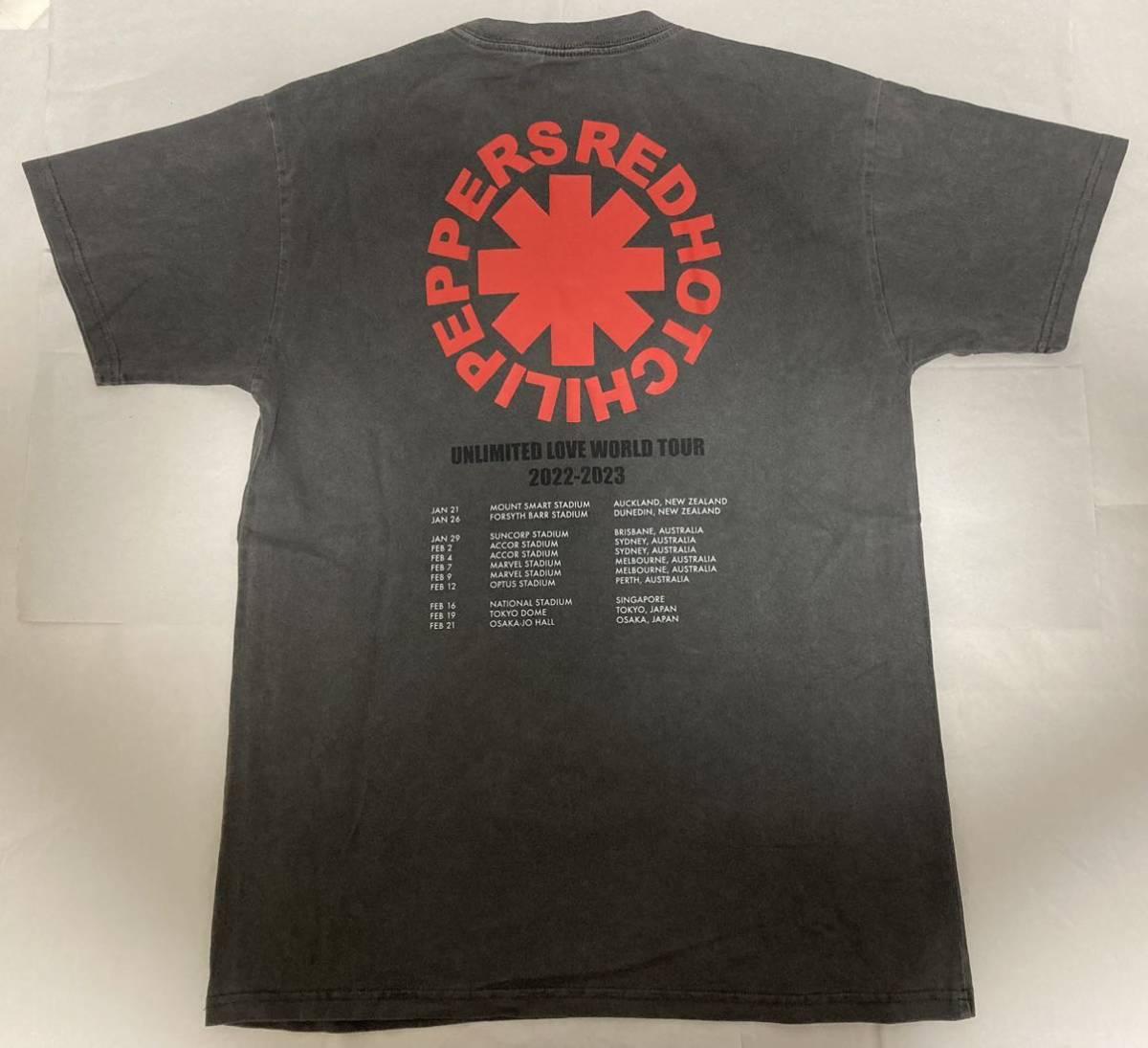 世界的に RED HOT レッチリ パーカー サイズM PEPPERS CHILI