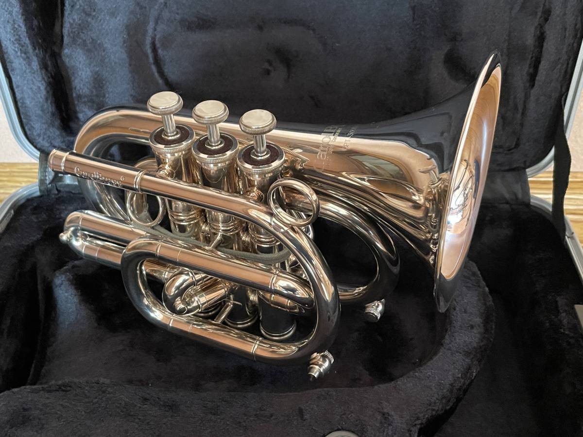 ついに再販開始!】 CarolBrass Model CPT-3000-GLS-Bb-S プロ