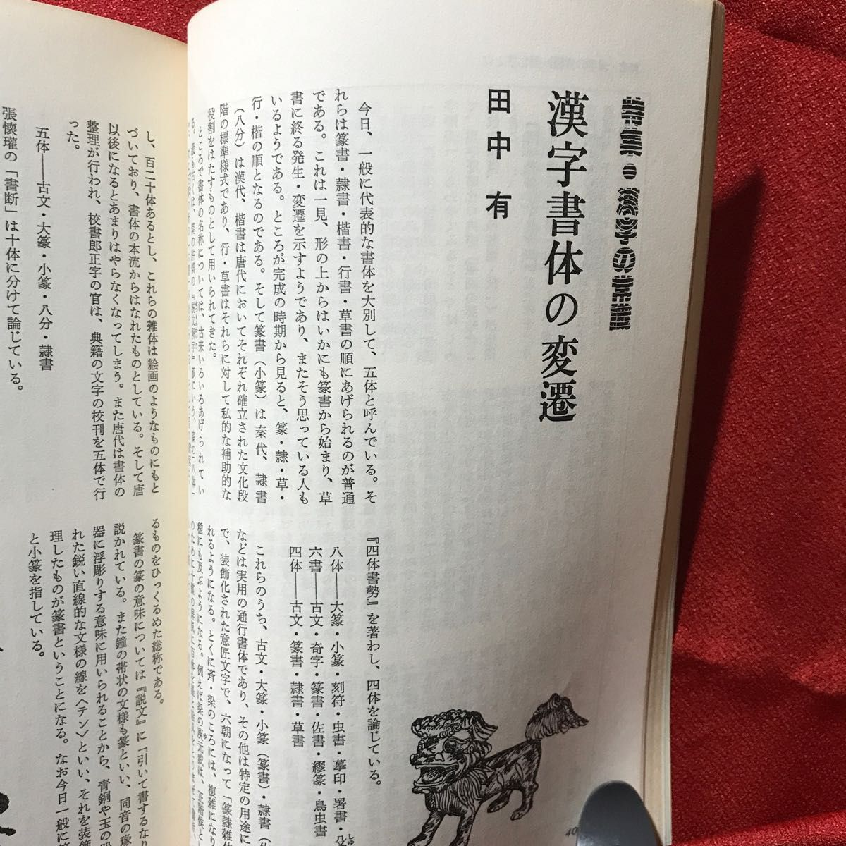 『言語・特集=漢字の常識』大修館書店1981Vol.10No.11