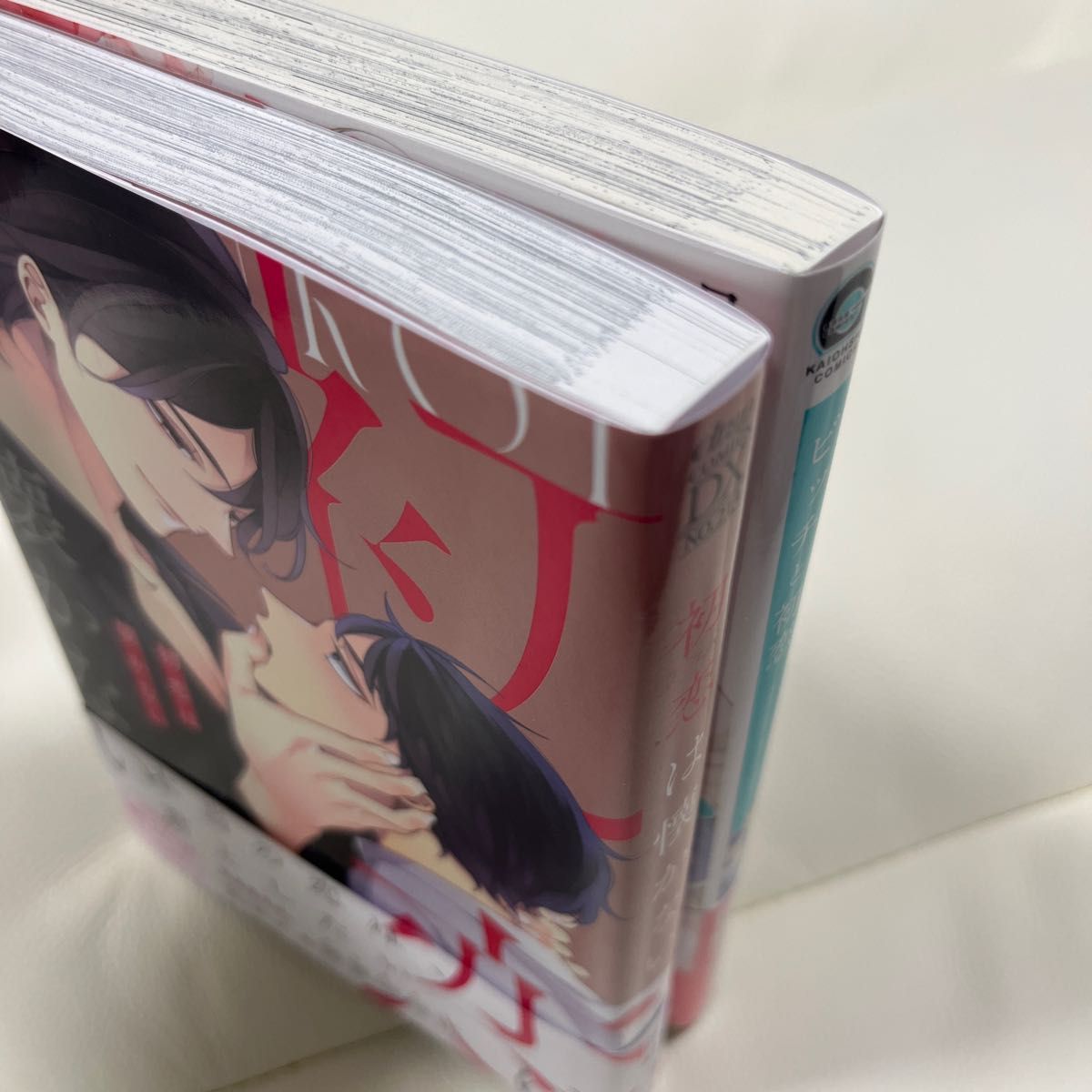 BL コミック2冊