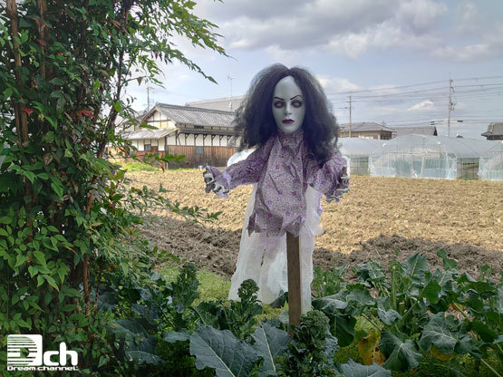 ハロウィン 文化祭 お化け屋敷 恐怖人形 骸骨 幽霊 お買い得 2 ハロウィン 文化祭 お化け屋敷 恐怖人形 骸骨 幽霊 お買い得 2