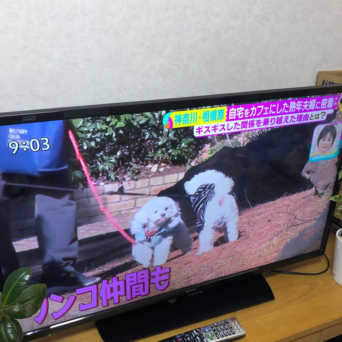 シャープ 40V型 液晶 テレビ AQUOS LC-40H30 裏番組録画対応 シャープ 40V型 液晶 テレビ AQUOS LC-40H30 裏番組録画対応