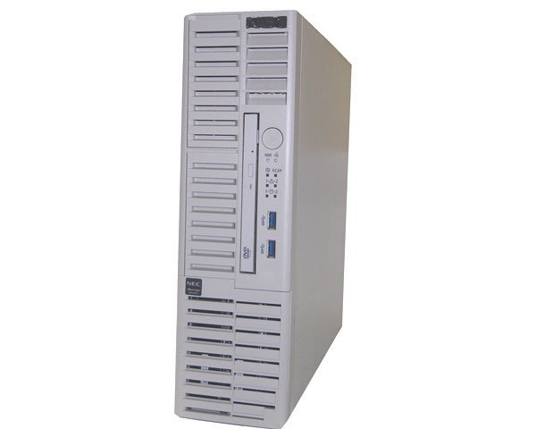 NEC iStorage NS100Ti (NF8100-252S01Y) Pentium Gold G5400 3.7GHz メモリ 8GB HDD 4TB×2 (SATA) DVD-ROM_画像1