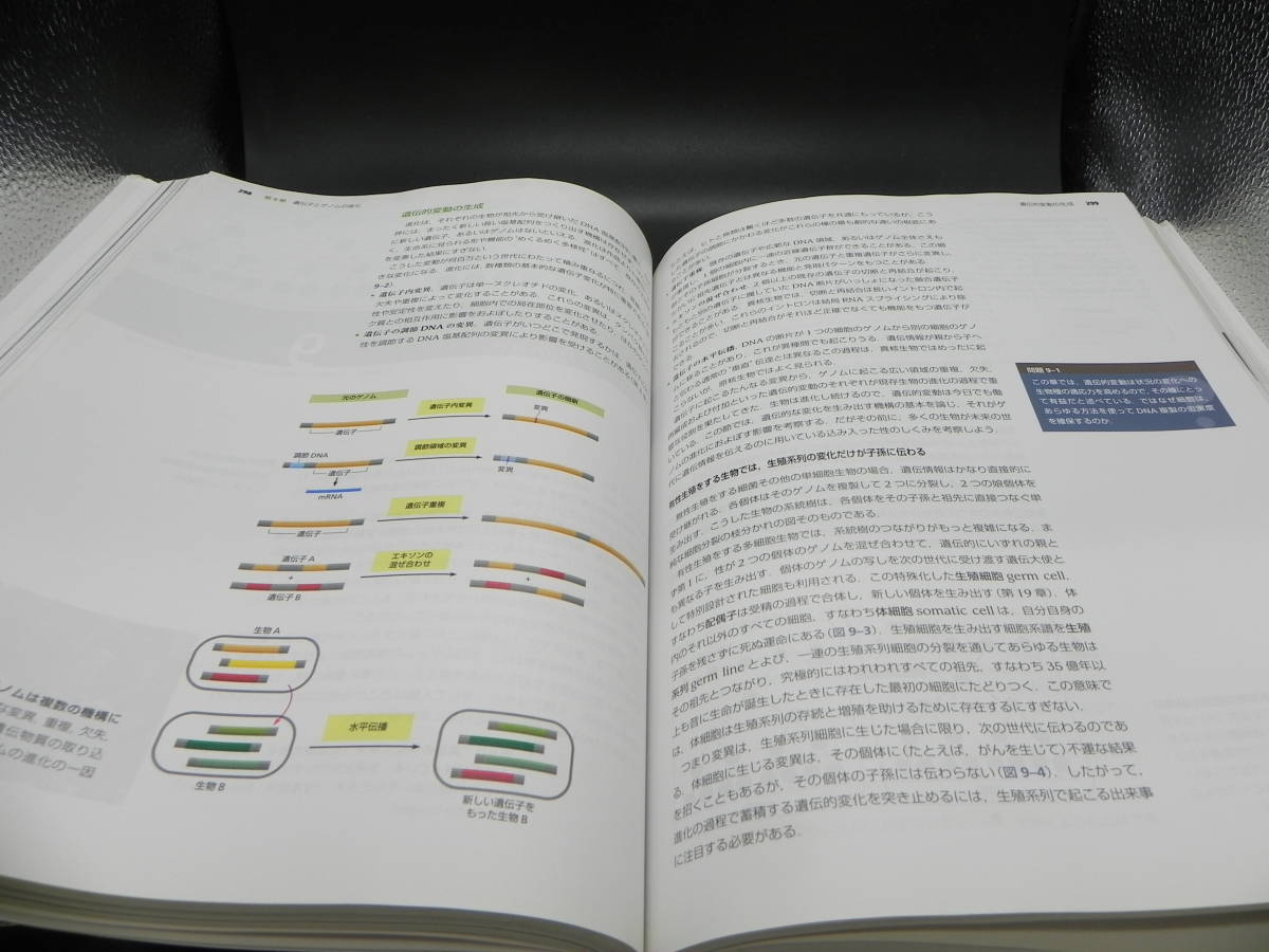 Essential 細胞生物学 原書第3版/監訳 中村桂子 松原謙一　南江堂　LY-f4.230201_画像6