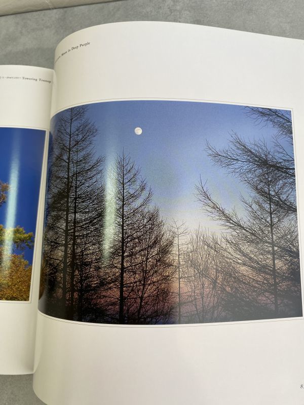 写真集[四季光彩]かじのこういち写真集 京都書院 かじのこういちの光と影の世界 1989 SEASONAL LIGHT&SHADOW/PHOTOGRAPHS BY KOICHI-KAJINO_画像5