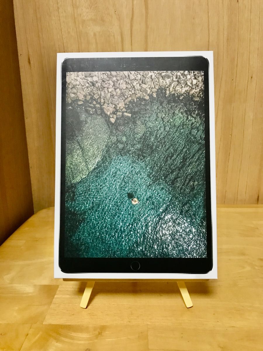 iPad Pro 10.5インチ Wi-Fi 256GB スペースグレイ