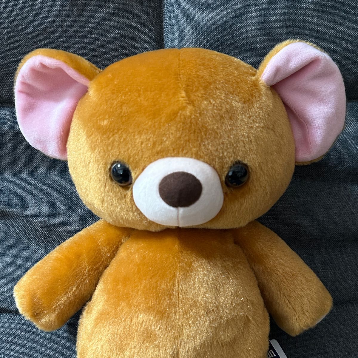 ディズニーストア ピーターパン70周年 ぬいぐるみ テディベア ディズニーストア ピーターパン70周年 ぬいぐるみ テディベア