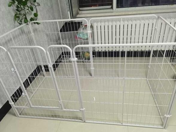 популярный рекомендация * белый собака забор домашнее животное собачья конура кошка маленький магазин собака сопутствующие товары дом .( средний 6 листов ) длина 120* ширина 60* высота 60 cm