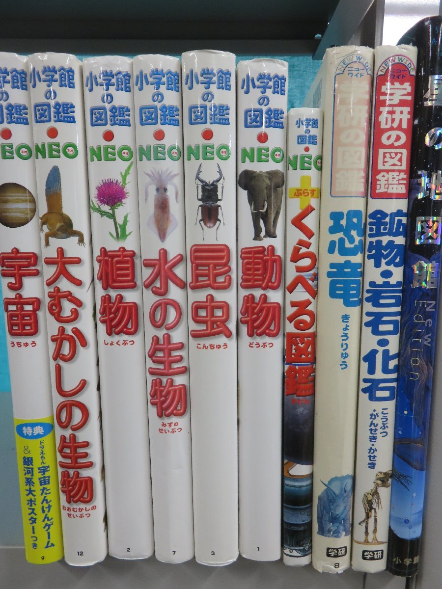 [ illustrated reference book ]{ together 10 point set } Shogakukan Inc.. illustrated reference book NEO/ Gakken. illustrated reference book /.... illustrated reference book / animal / insect / large .... living thing / water. living thing / dinosaur / cosmos other 