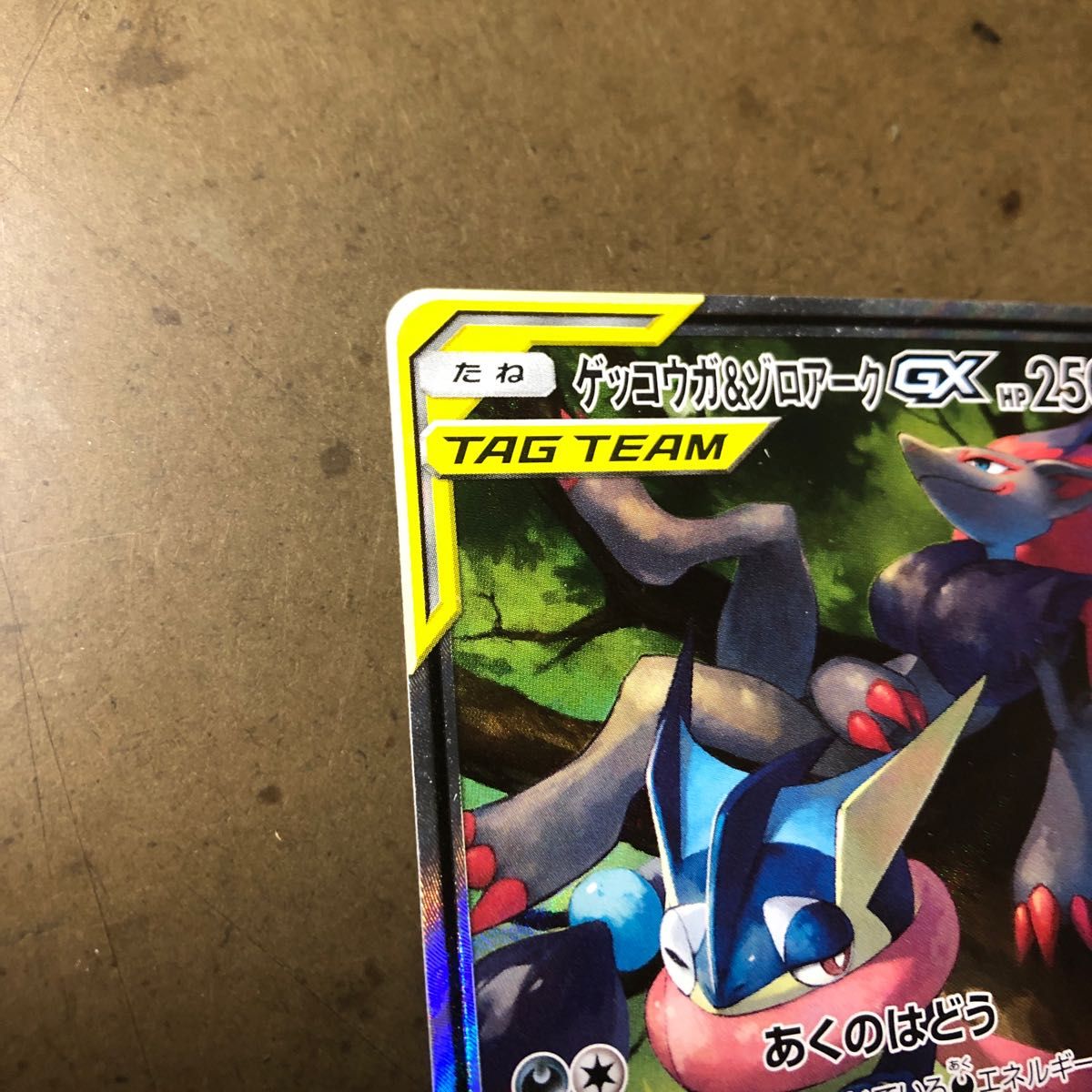 ゲッコウガ&ゾロアークGX SR SA タッグチーム ナイトユニゾン ゲッコウガ&ゾロアークGX SR SA タッグチーム ナイトユニゾン