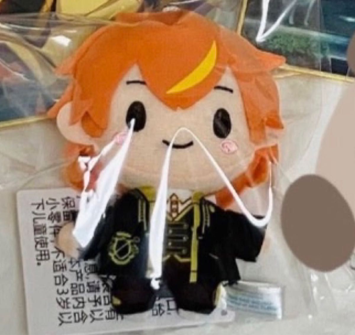 プロセカ 東雲彰人 ぬいぐるみ セガプラザ プライズ ノクターン プロジェクトセカイ