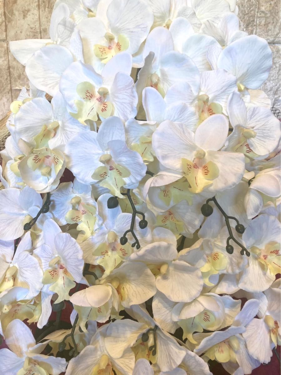光触媒　人工観葉植物　ウォールグリーン　フェイクグリーン　フラワー　ハンドメイド　胡蝶蘭１０本