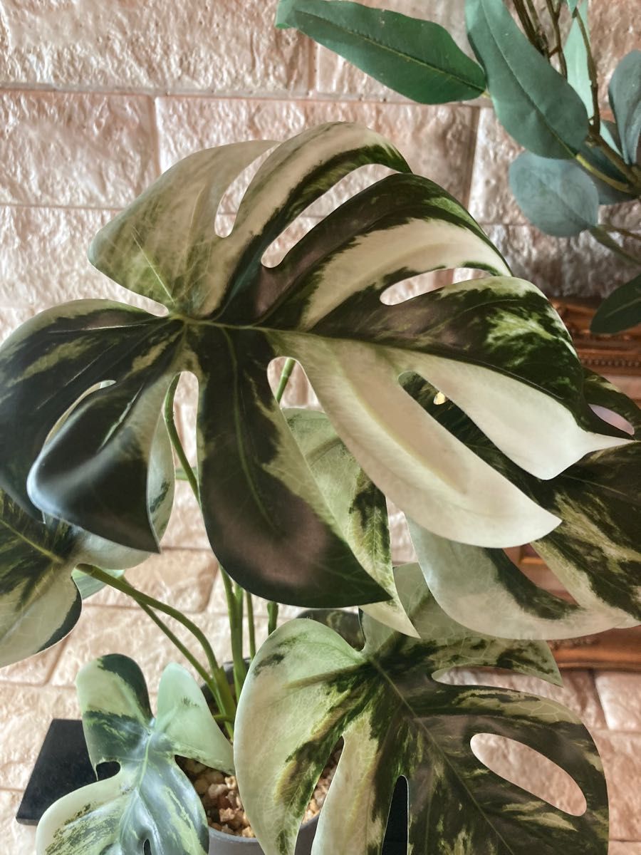 光触媒 人工観葉植物 ウォールグリーン フェイク モンステラバリエ