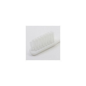歯ブラシ 使い捨てハブラシ 業務用 ハミガキ粉付き 500個組 ホワイト/卸　送料無料_画像3