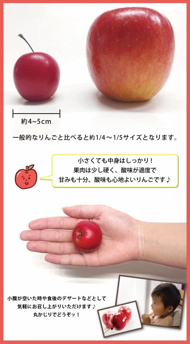 青森りんご ミニふじ あおもり乙女 食べきりサイズ 観賞用にも 6個入