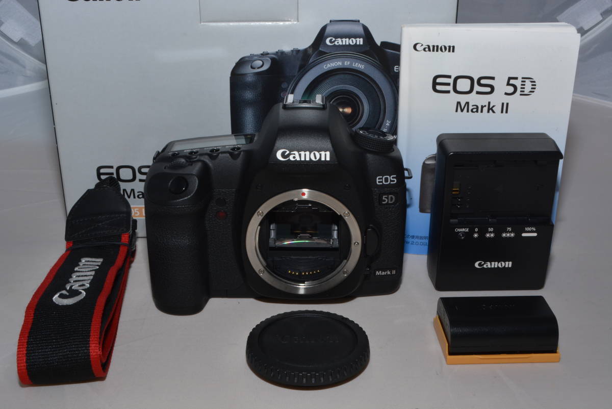 衝撃特価 【レアな極上品】Canon デジタル一眼レフカメラ EOS 5D