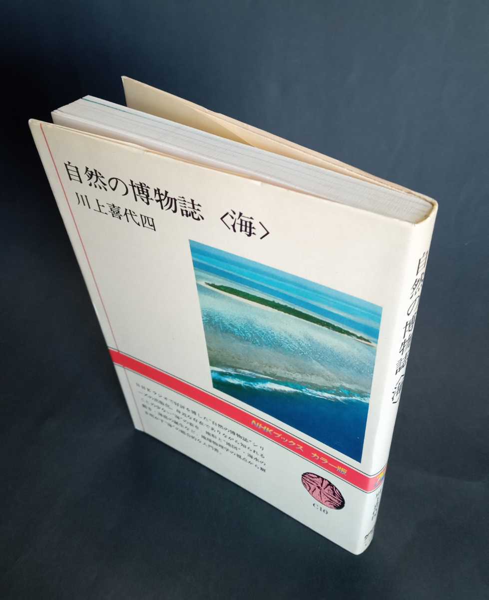 自然の博物誌〈 海 〉 川上喜代四 NHKブックス_画像3