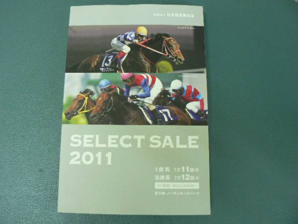  select sale 2011no- The n horn Spark SELECT SALE