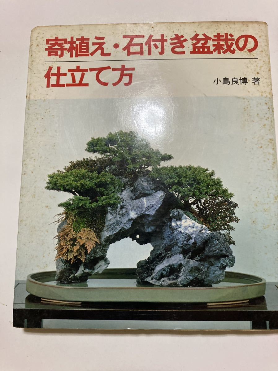 ...., stone attaching bonsai. tailoring person old book 