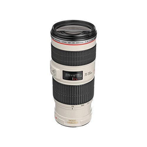 Canon 望遠ズームレンズ EF70-200mm F4L IS USM フルサイズ対応( 未