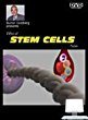 Stem Cells [DVD](中古 未使用品)