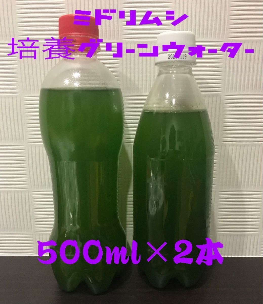 ミドリムシ ユーグレナ 培養グリーンウォーター 500ml 2本セット 種水 クロレラ グリーンウォーター 500ml
