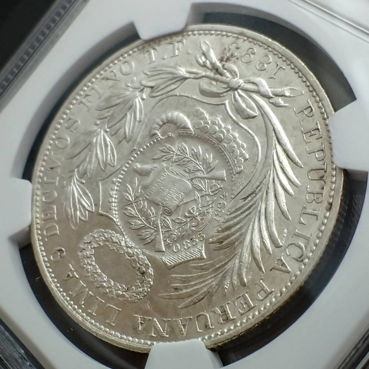 レア中の激レア!】☆くっきり加刻印☆1894年 グアテマラ 銀貨 1ペソ