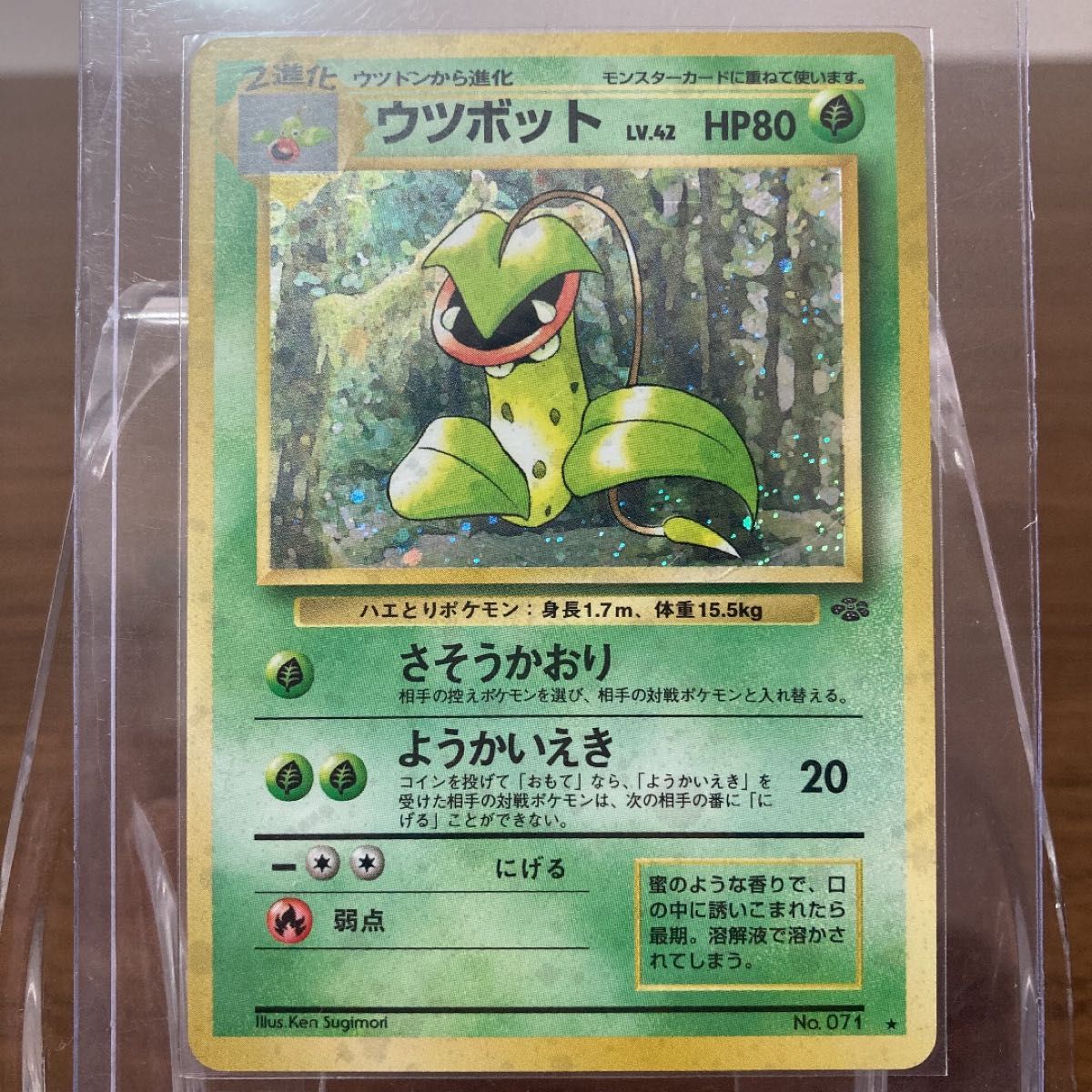 本日限定価格っ 】ポケモンカード 旧裏 初期 草タイプ まとめ 本日限定価格っ 】ポケモンカード 旧裏 初期 草タイプ まとめ