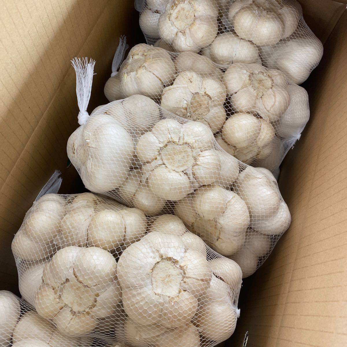 青森県にんにく10Kg 2L種可能 Yahoo!フリマ(旧)-