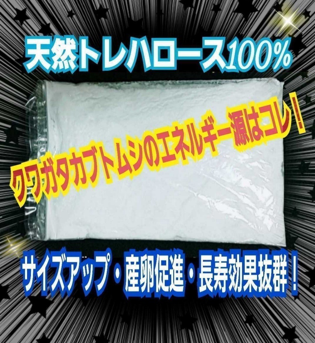 クワガタ・カブトムシ専用栄養添加剤　トレハロース粉末　マットや菌糸・ゼリーに混ぜるだけ！　サイズアップ、産卵促進、長寿効果抜群です_画像1