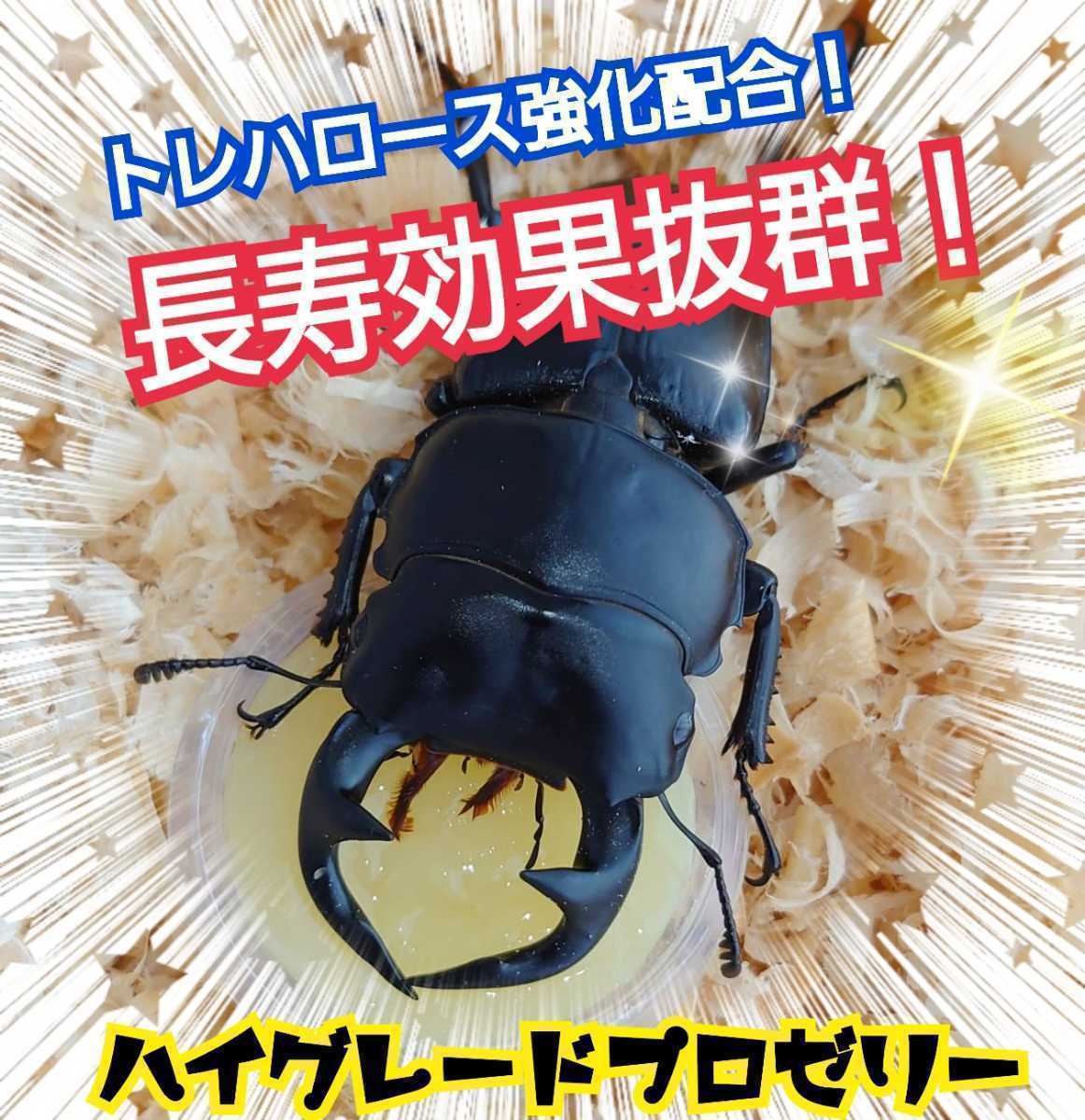 ハイグレードプロゼリー【200個】産卵促進・長寿・体力増進　オスも食べやすいワイドカップ　クワガタの餌　カブトムシの餌　昆虫ゼリー　_画像1