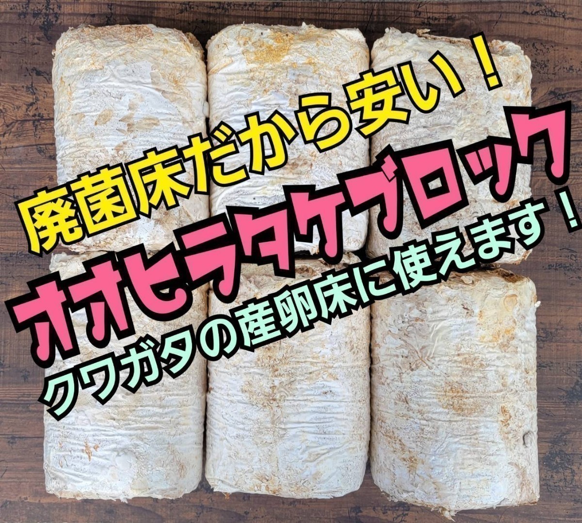 クワガタの産卵木の代わりにどうぞ！　マットに埋め込むだけで爆産！　オオヒラタケ菌床ブロック　割り出しが楽で幼虫がたくさんとれます！_画像1