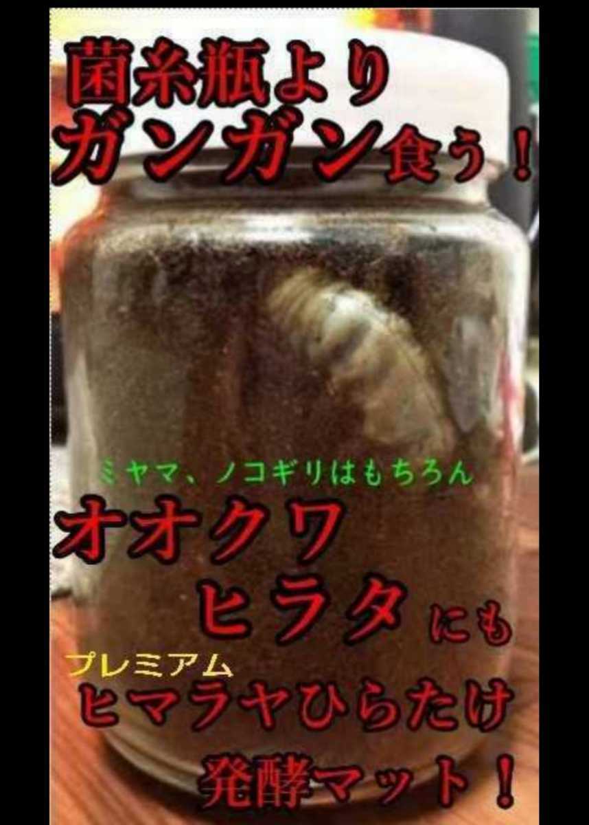 【6本セット】クワガタ幼虫を入れるだけ！　便利！800mlボトル入　プレミアム3次発酵マット　　抜群の栄養価！　ミヤマ・ノコギリにお薦め_画像6