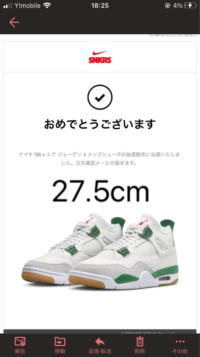 Nike SB × Air Jordan 4