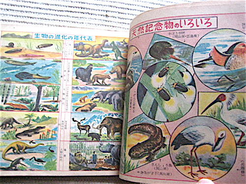 ものしり図解宝典★昭和27年★小学五年生附録★建物の高さ比べ、国旗と国花、電気、船と飛行機の発達史_画像4