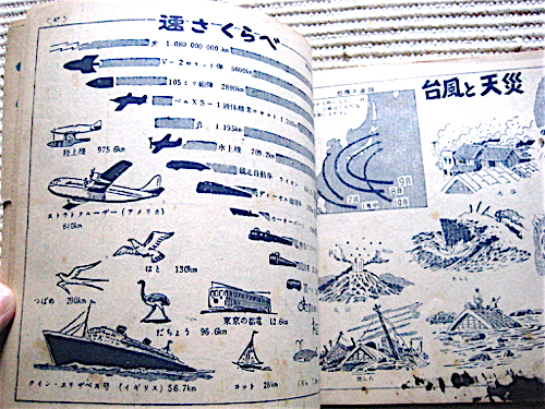 ものしり図解宝典★昭和27年★小学五年生附録★建物の高さ比べ、国旗と国花、電気、船と飛行機の発達史_画像8