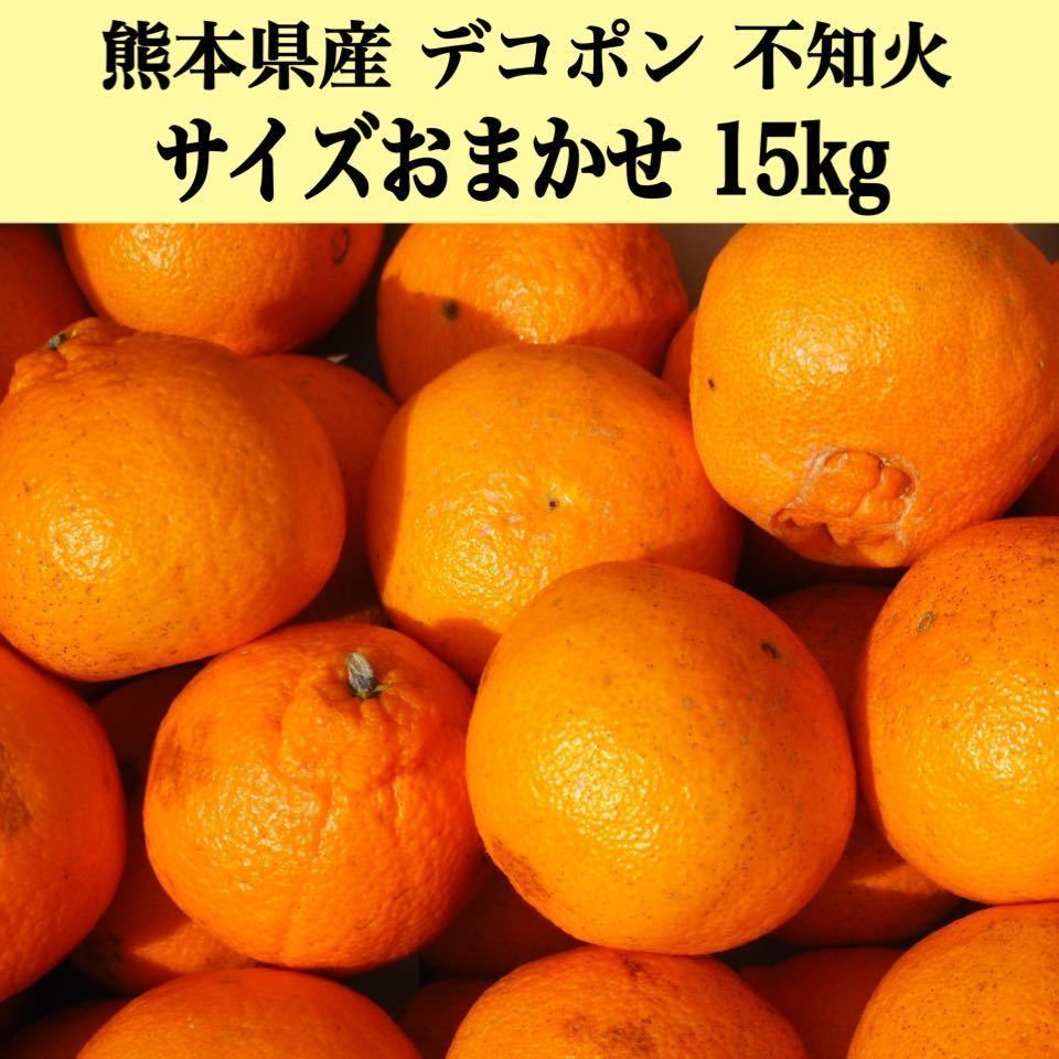 【送料無料◎１スタ!】熊本県産 デコポン 不知火 サイズおまかせ15kg 家庭用の画像1