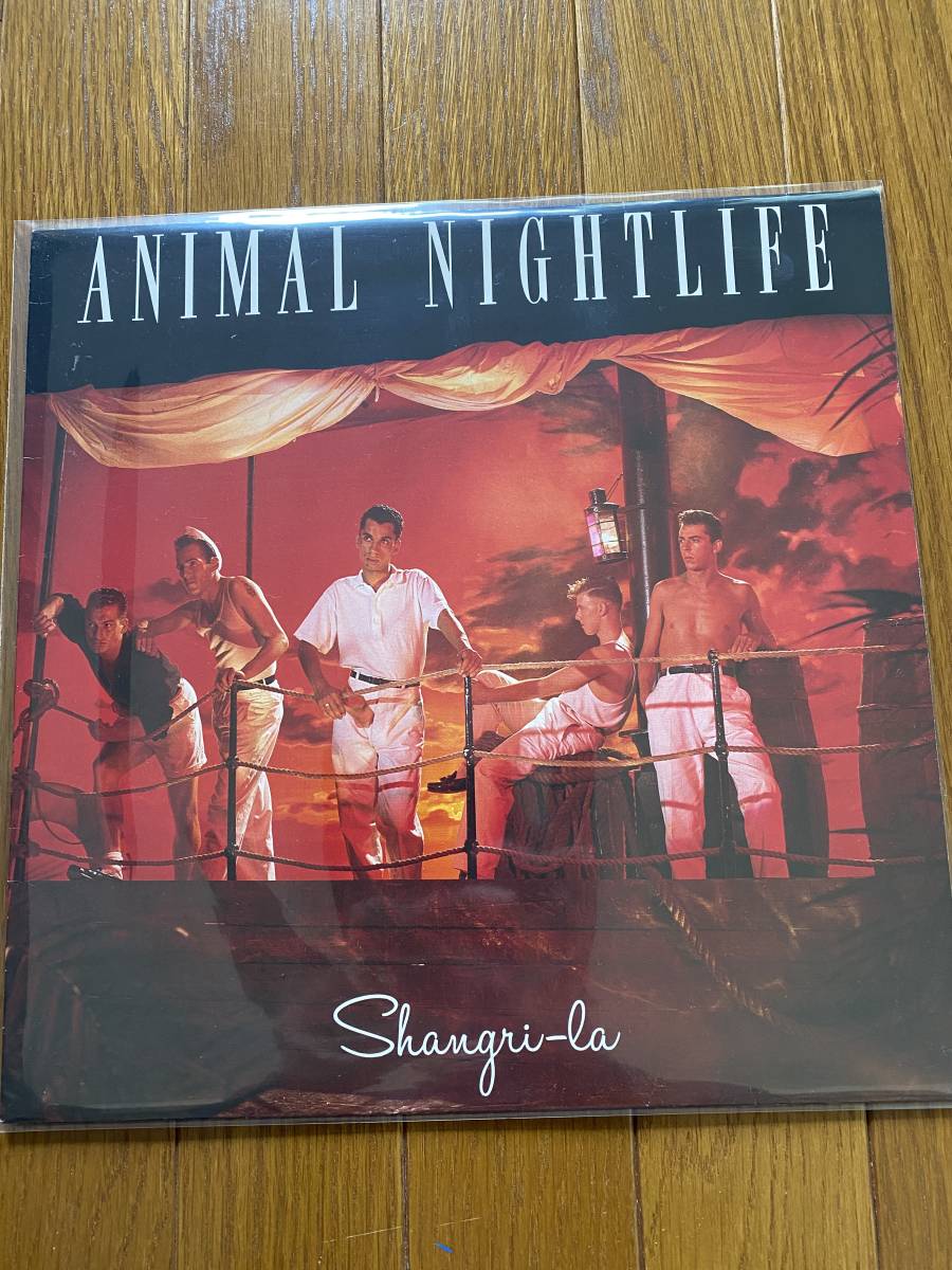 ILPS9830 美盤【LP】ANIMAL NIGHTLIFE Shangri la インディ　ネオアコ　uk rock ギターポップ　アニマルナイトライフ　当時物　_画像1