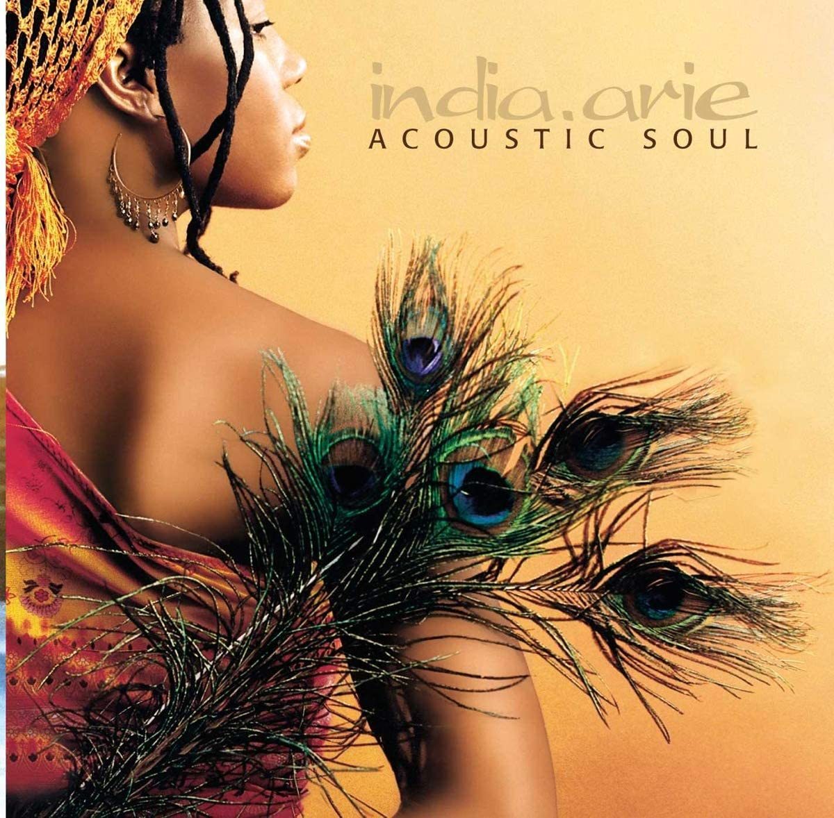 Acoustic Soul インディア.アリー 輸入盤CD_画像1